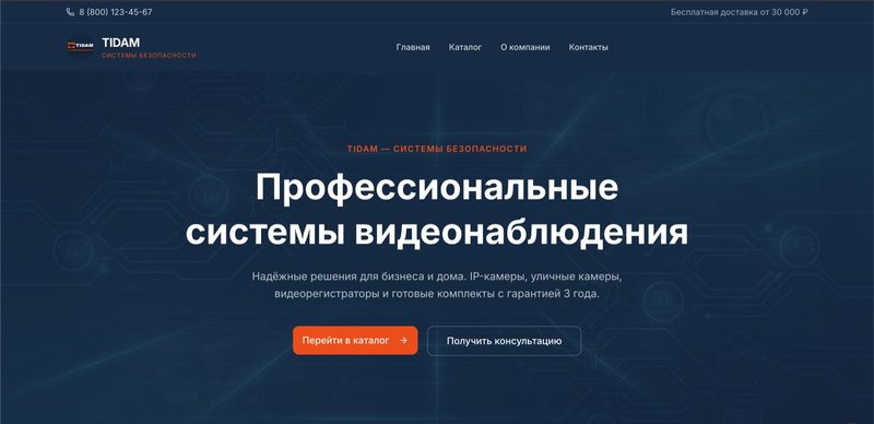 Скриншот сайта TIDAM